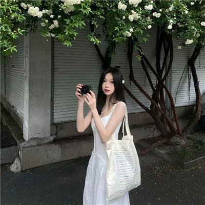 女王蜂游戏
