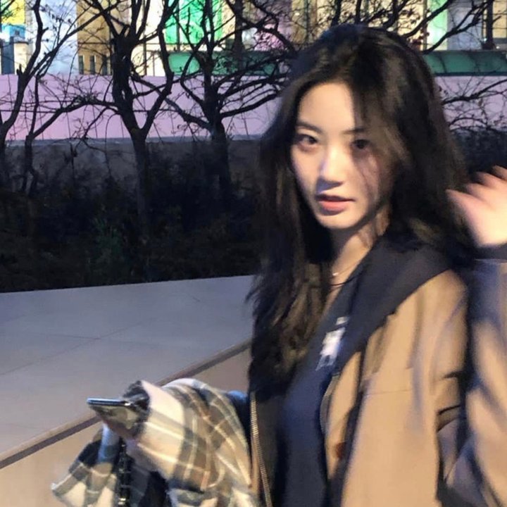 独活女子的推荐 第五季